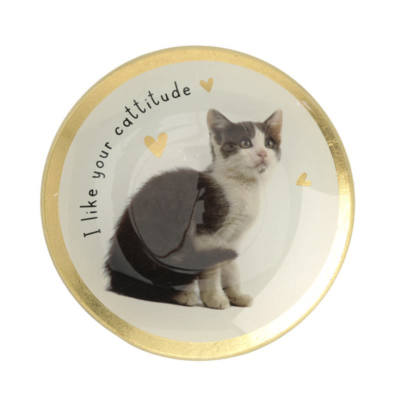 Kleiner Deko-Teller mit Katzen-Motiv Kleiner Deko-Teller mit Katzen-Motiv von My Home