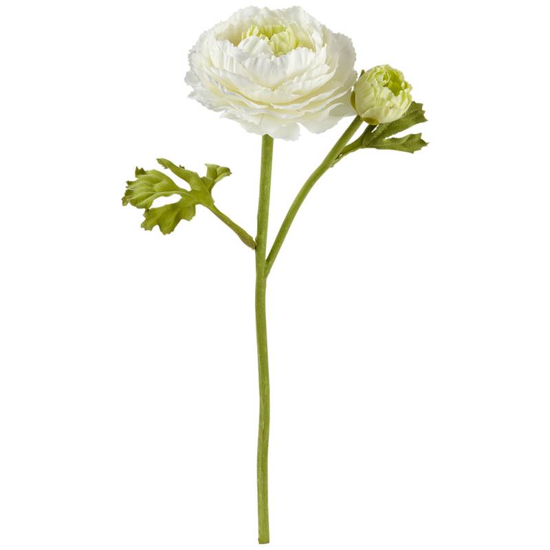 Kunstblume Ranunkel von My Home