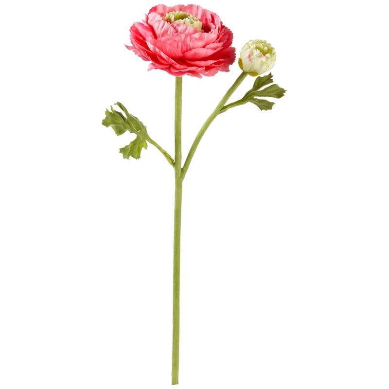 Kunstblume Ranunkel von My Home