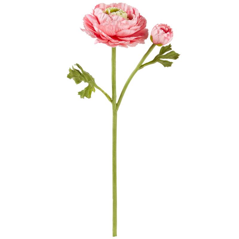 Kunstblume Ranunkel von My Home