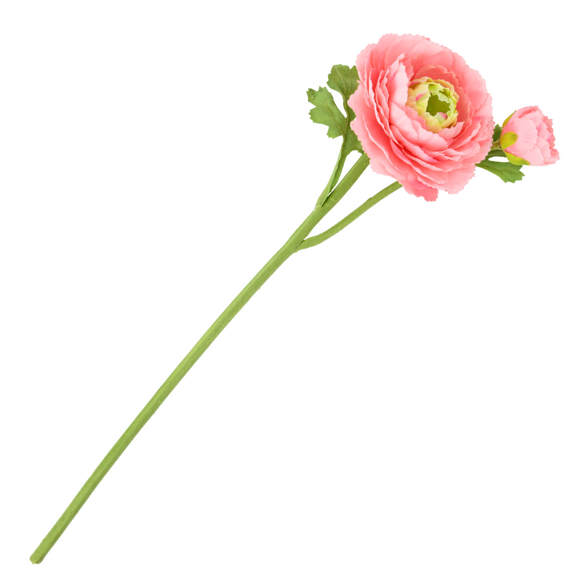 Kunstblume Ranunkel von My Home