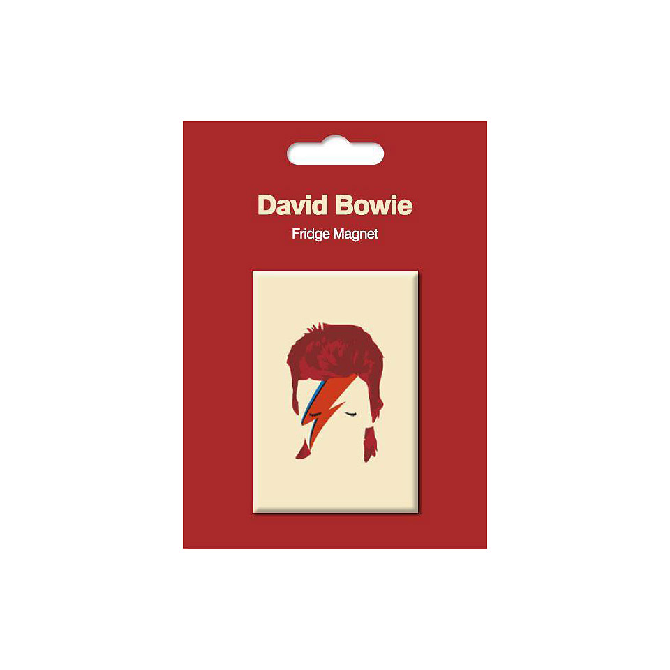 My World Pop Art Magnet - Aladdin Sane Dekomagnet My World Pop Art Magnet - Aladdin Sane Dekomagnet von My World