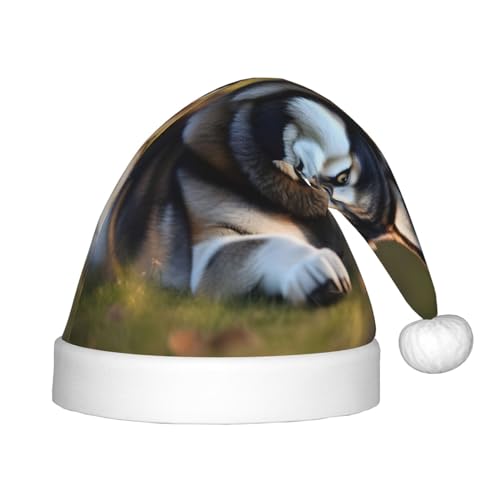 MyPiky Weihnachtsmütze mit Husky-Motiv, Weihnachtsmannmütze für Kinder und Jungen, Mädchen, Weihnachtsmannmütze für Kinder, Weihnachtsgeschenke von MyPiky