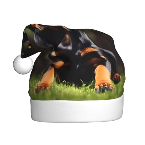 Schottischer Weihnachtsmann Hut Retro Plüsch Süße Weihnachtsmannmütze Weihnachtsfeier Uni Erwachsene Rottweiler Tapete, 1 von MyPiky
