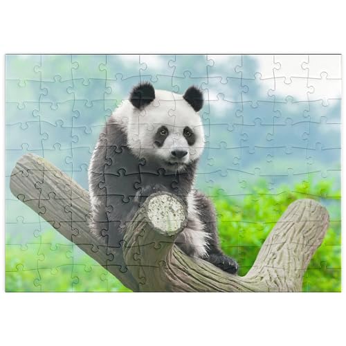 Bedrohte Tierarten - Großer Panda - Premium 100 Teile Puzzle - MyPuzzle Sonderkollektion von Starnberger Spiele von MyPuzzle.com
