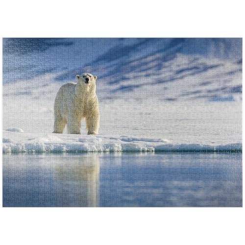 MyPuzzle Bedrohte Tierarten: Eisbär in Spitzbergen - Norwegen - Premium 1000 Teile Puzzle - MyPuzzle Sonderkollektion von Starnberger Spiele von MyPuzzle.com