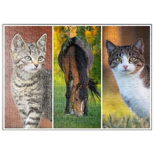 Cats&Horse Collage - Premium 200 Teile Puzzle - MyPuzzle Sonderkollektion von DREI Hasen in der Abendsonne von MyPuzzle.com