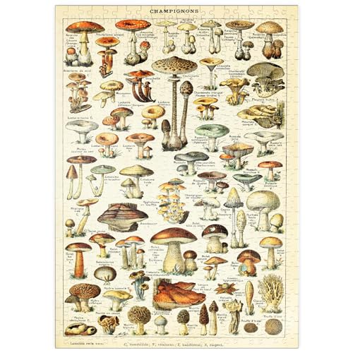 Champignons - Pilze für Alle, Vintage Art Poster, Adolphe Millot - Premium 500 Teile Puzzle - MyPuzzle Sonderkollektion von Havana Puzzle Company von MyPuzzle.com