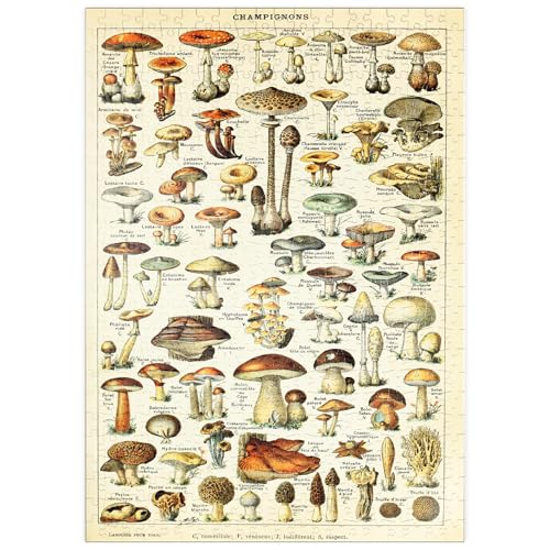 MyPuzzle Champignons - Pilze für Alle, Vintage Art Poster, Adolphe Millot - Premium 500 Teile Puzzle - MyPuzzle Sonderkollektion von Havana Puzzle Company von MyPuzzle.com