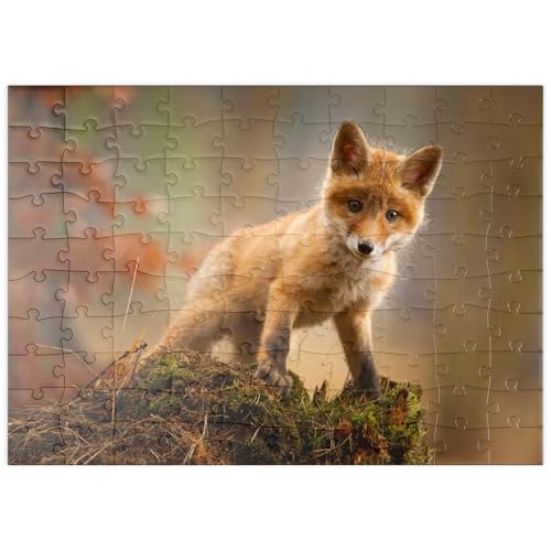MyPuzzle EIN junger, neugieriger Fuchs im Wald - Premium 100 Teile Puzzle - MyPuzzle Sonderkollektion von Puzzle Galaxy MyPuzzle EIN junger, neugieriger Fuchs im Wald - Premium 100 Teile Puzzle - MyPuzzle Sonderkollektion von Puzzle Galaxy von MyPuzzle.com