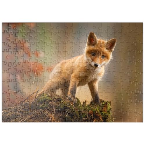 MyPuzzle EIN junger, neugieriger Fuchs im Wald - Premium 200 Teile Puzzle - MyPuzzle Sonderkollektion von Puzzle Galaxy MyPuzzle EIN junger, neugieriger Fuchs im Wald - Premium 200 Teile Puzzle - MyPuzzle Sonderkollektion von Puzzle Galaxy von MyPuzzle.com