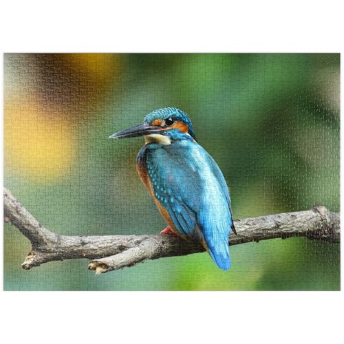 MyPuzzle Eisvogel - Premium 1000 Teile Puzzle - MyPuzzle Sonderkollektion von Puzzle Galaxy von MyPuzzle.com