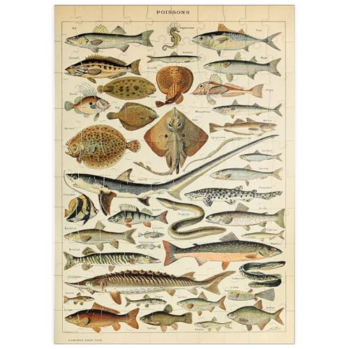 MyPuzzle Fisch für alle, Vintage Art Poster, Adolphe Millot - Premium 100 Teile Puzzle - MyPuzzle Sonderkollektion von Havana Puzzle Company von MyPuzzle.com