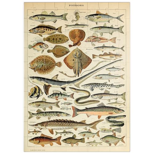 Fisch für alle, Vintage Art Poster, Adolphe Millot - Premium 100 Teile Puzzle - MyPuzzle Sonderkollektion von Havana Puzzle Company von MyPuzzle.com