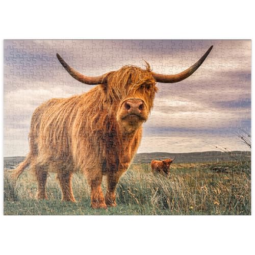 MyPuzzle Highland Kühe an der Nordküste Schottlands - Premium 500 Teile Puzzle - MyPuzzle Sonderkollektion von Puzzle Galaxy MyPuzzle Highland Kühe an der Nordküste Schottlands - Premium 500 Teile Puzzle - MyPuzzle Sonderkollektion von Puzzle Galaxy von MyPuzzle.com