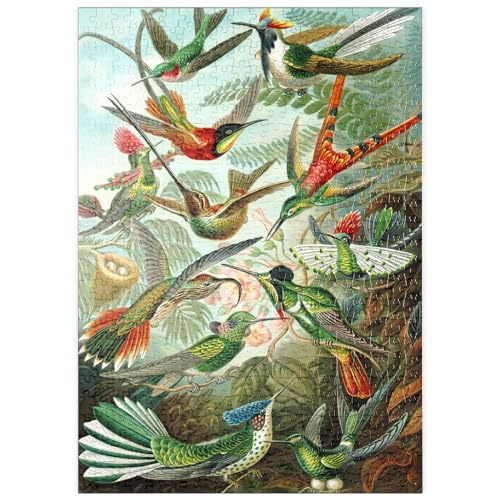 MyPuzzle Hummingbirds and Trochilidae (Kolibris), Vintage Art Poster, Ernst Haeckel - Premium 500 Teile Puzzle - MyPuzzle Sonderkollektion von Havana Puzzle Company von MyPuzzle.com