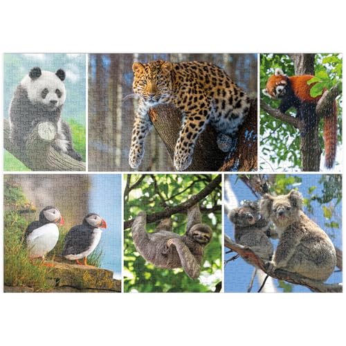 MyPuzzle Einzigartig - Bedrohte Tierarten - Collage No. 3 - Premium 1000 Teile Puzzle - MyPuzzle Sonderkollektion von Starnberger Spiele MyPuzzle Einzigartig - Bedrohte Tierarten - Collage No. 3 - Premium 1000 Teile Puzzle - MyPuzzle Sonderkollektion von Starnberger Spiele von MyPuzzle.com