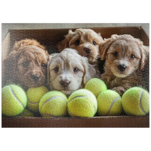 MyPuzzle Entzückende Welpen in Box mit Tennisbällen - Premium 1000 Teile Puzzle - MyPuzzle Sonderkollektion von Puzzle Galaxy von MyPuzzle.com
