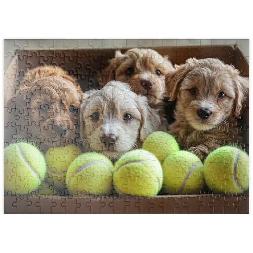 MyPuzzle Entzückende Welpen in Box mit Tennisbällen - Premium 200 Teile Puzzle - MyPuzzle Sonderkollektion von Puzzle Galaxy von MyPuzzle.com