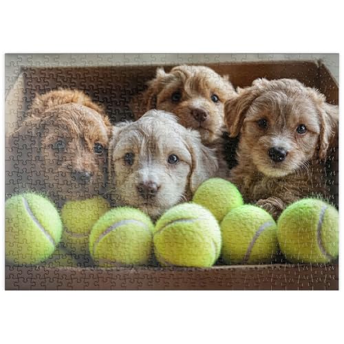 MyPuzzle Entzückende Welpen in Box mit Tennisbällen - Premium 500 Teile Puzzle - MyPuzzle Sonderkollektion von Puzzle Galaxy von MyPuzzle.com
