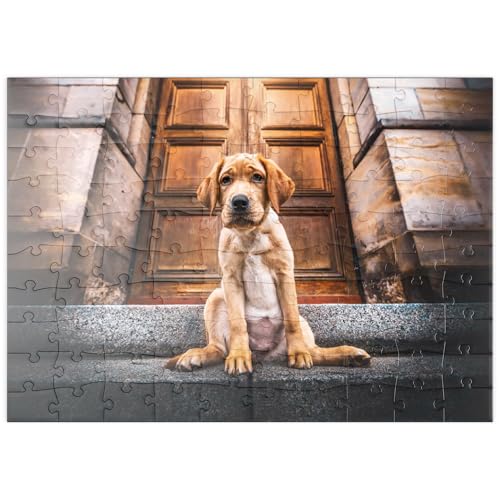 MyPuzzle Goldener Labrador-Welpe auf Steintreppe - Premium 100 Teile Puzzle - MyPuzzle Sonderkollektion von Puzzle Galaxy MyPuzzle Goldener Labrador-Welpe auf Steintreppe - Premium 100 Teile Puzzle - MyPuzzle Sonderkollektion von Puzzle Galaxy von MyPuzzle.com