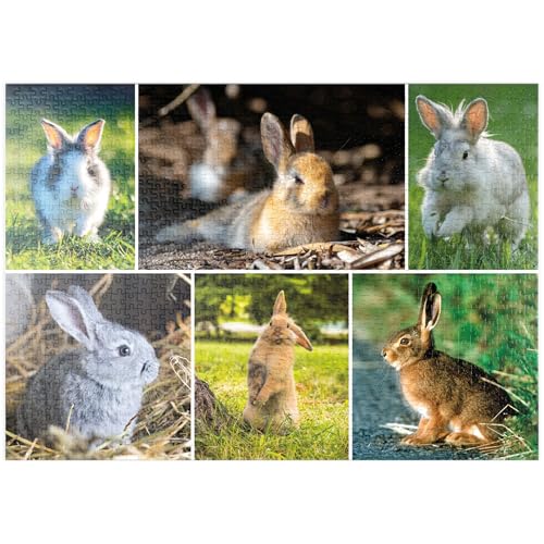 MyPuzzle Hasen & Kaninchen - Collage No. 2 - Premium 1000 Teile Puzzle - MyPuzzle Sonderkollektion von Starnberger Spiele von MyPuzzle.com