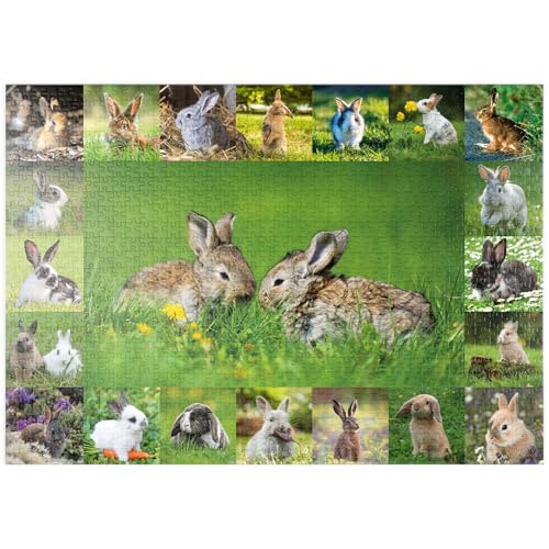 MyPuzzle Hasen & Kaninchen - Collage No. 5 - Premium 1000 Teile Puzzle - MyPuzzle Sonderkollektion von Starnberger Spiele MyPuzzle Hasen & Kaninchen - Collage No. 5 - Premium 1000 Teile Puzzle - MyPuzzle Sonderkollektion von Starnberger Spiele von MyPuzzle.com
