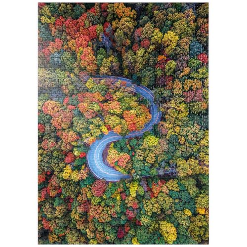 MyPuzzle Kurvenreiche Straße durch dichten Herbstwald - Premium 1000 Teile Puzzle - MyPuzzle Sonderkollektion von Puzzle Galaxy von MyPuzzle.com