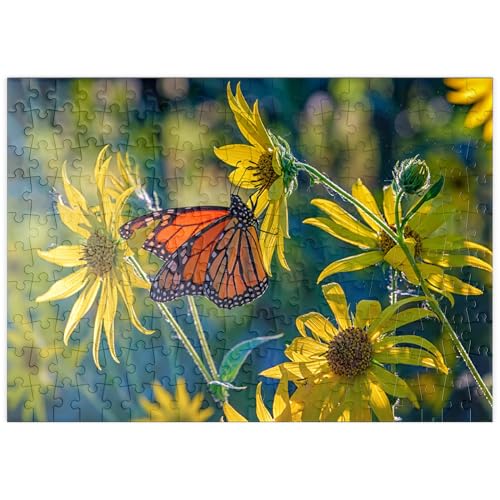 MyPuzzle Monarchfalter auf Sonnenblume – Natürliche Schönheit - Premium 200 Teile Puzzle - MyPuzzle Sonderkollektion von Puzzle Galaxy MyPuzzle Monarchfalter auf Sonnenblume – Natürliche Schönheit - Premium 200 Teile Puzzle - MyPuzzle Sonderkollektion von Puzzle Galaxy von MyPuzzle.com