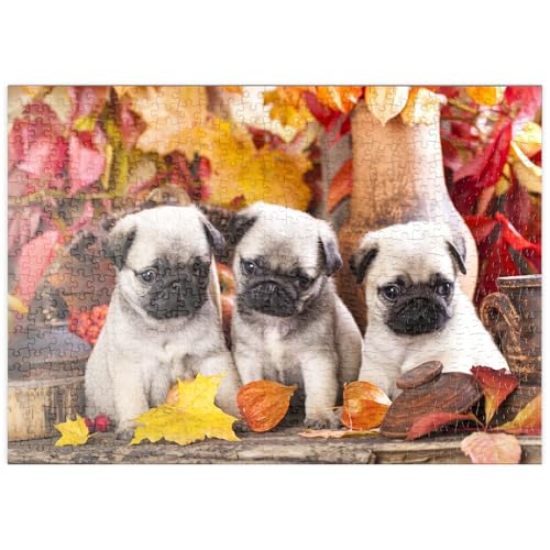 MyPuzzle Mops-Welpen - Premium 500 Teile Puzzle - MyPuzzle Sonderkollektion von Puzzle Galaxy MyPuzzle Mops-Welpen - Premium 500 Teile Puzzle - MyPuzzle Sonderkollektion von Puzzle Galaxy von MyPuzzle.com