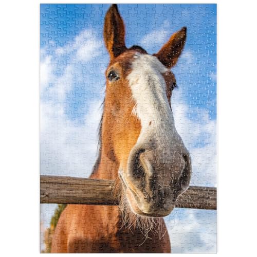 MyPuzzle Nahaufnahme eines Clydesdale-Pferdes vor blauem Himmel - Premium 500 Teile Puzzle - MyPuzzle Sonderkollektion von Puzzle Galaxy MyPuzzle Nahaufnahme eines Clydesdale-Pferdes vor blauem Himmel - Premium 500 Teile Puzzle - MyPuzzle Sonderkollektion von Puzzle Galaxy von MyPuzzle.com