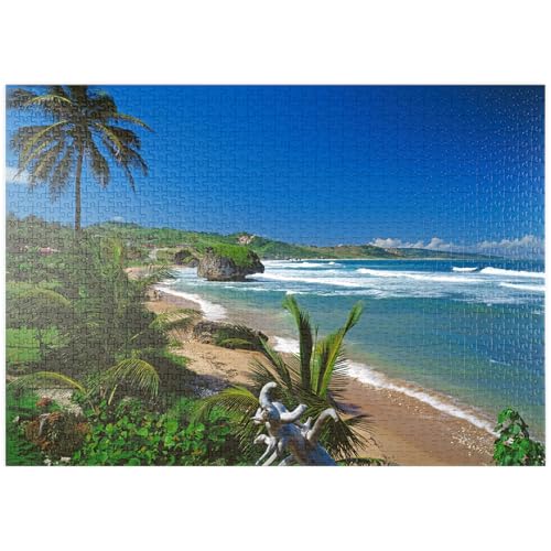 MyPuzzle Ostküste bei Bathseba, Barbados, Inseln über dem Winde, Karibik - Premium 1000 Teile Puzzle - MyPuzzle Sonderkollektion von Puzzle Galaxy von MyPuzzle.com