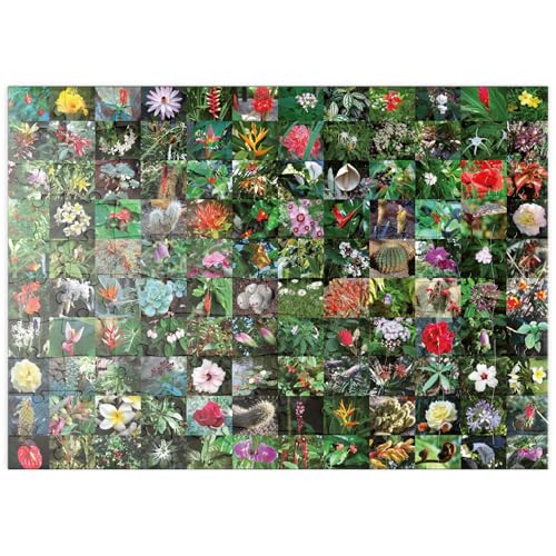 MyPuzzle Piatnik: Blossoms/Blüten - Premium 100 Teile Puzzle - MyPuzzle Sonderkollektion von Piatnik von MyPuzzle.com