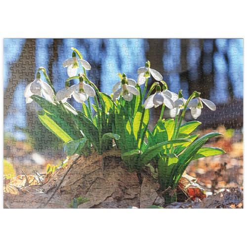 MyPuzzle Schneeglöckchen (Galanthus nivalis), Frühlingsblumen im Wald - Premium 500 Teile Puzzle - MyPuzzle Sonderkollektion von Starnberger Spiele von MyPuzzle.com