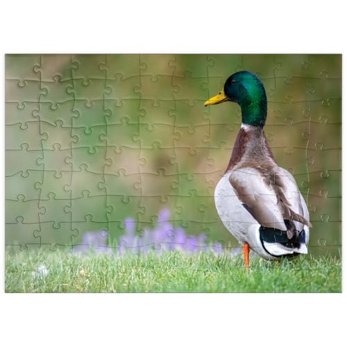 MyPuzzle Stockente auf Einer Frühlingswiese mit Blumen - Premium 100 Teile Puzzle - MyPuzzle Sonderkollektion von Puzzle Galaxy von MyPuzzle.com