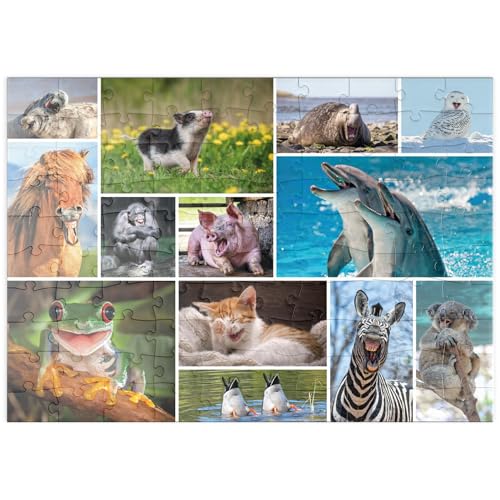 MyPuzzle Tierisch Lustig - Collage No. 1 - Premium 100 Teile Puzzle - MyPuzzle Sonderkollektion von Starnberger Spiele MyPuzzle Tierisch Lustig - Collage No. 1 - Premium 100 Teile Puzzle - MyPuzzle Sonderkollektion von Starnberger Spiele von MyPuzzle.com