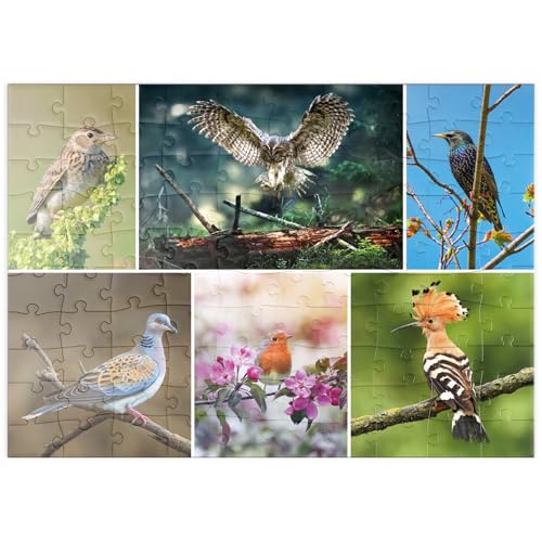 MyPuzzle Vögel des Jahres - Collage Nr.2 - Deutschalnd - Premium 100 Teile Puzzle - MyPuzzle Sonderkollektion von Starnberger Spiele von MyPuzzle.com