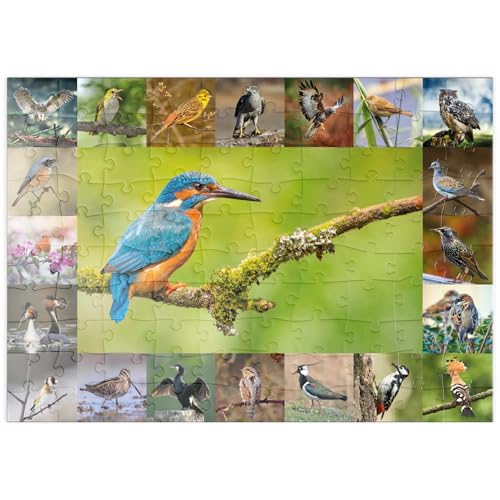 MyPuzzle Vögel des Jahres - Collage Nr.8 Hauptmotiv: Eisvogel - Premium 100 Teile Puzzle - MyPuzzle Sonderkollektion von Starnberger Spiele von MyPuzzle.com