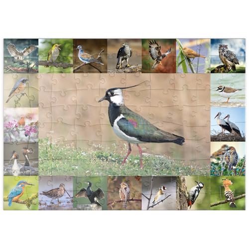 MyPuzzle Vögel des Jahres - Collage Nr.9 - Hauptmotiv: Kiebitz - Premium 100 Teile Puzzle - MyPuzzle Sonderkollektion von Starnberger Spiele MyPuzzle Vögel des Jahres - Collage Nr.9 - Hauptmotiv: Kiebitz - Premium 100 Teile Puzzle - MyPuzzle Sonderkollektion von Starnberger Spiele von MyPuzzle.com