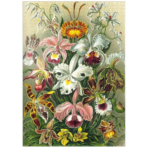 MyPuzzle Orchidee - Kunstformen der Natur, Vintage Art Poster, Ernst Haeckel - Premium 1000 Teile Puzzle - MyPuzzle Sonderkollektion von Havana Puzzle Company MyPuzzle Orchidee - Kunstformen der Natur, Vintage Art Poster, Ernst Haeckel - Premium 1000 Teile Puzzle - MyPuzzle Sonderkollektion von Havana Puzzle Company von MyPuzzle.com