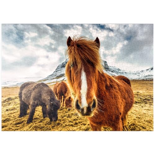 MyPuzzle Pferde in den Bergen von Island - Premium 1000 Teile Puzzle - MyPuzzle Sonderkollektion von Puzzle Galaxy MyPuzzle Pferde in den Bergen von Island - Premium 1000 Teile Puzzle - MyPuzzle Sonderkollektion von Puzzle Galaxy von MyPuzzle.com