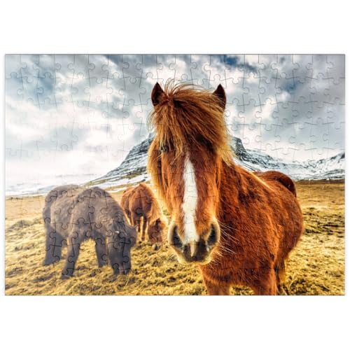 MyPuzzle Pferde in den Bergen von Island - Premium 200 Teile Puzzle - MyPuzzle Sonderkollektion von Puzzle Galaxy MyPuzzle Pferde in den Bergen von Island - Premium 200 Teile Puzzle - MyPuzzle Sonderkollektion von Puzzle Galaxy von MyPuzzle.com