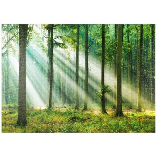MyPuzzle Schöner Morgen im Wald - Premium 1000 Teile Puzzle - MyPuzzle Sonderkollektion von Puzzle Galaxy von MyPuzzle.com
