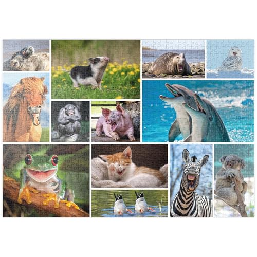 MyPuzzle Tierisch Lustig - Collage No. 1 - Premium 1000 Teile Puzzle - MyPuzzle Sonderkollektion von Starnberger Spiele MyPuzzle Tierisch Lustig - Collage No. 1 - Premium 1000 Teile Puzzle - MyPuzzle Sonderkollektion von Starnberger Spiele von MyPuzzle.com