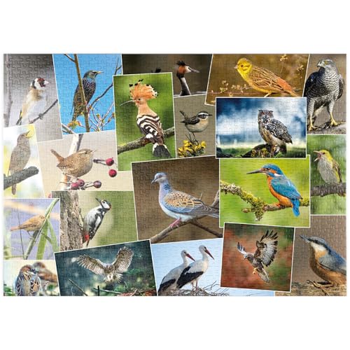 MyPuzzle Vögel des Jahres - Collage Nr.1 - Deutschland - Premium 1000 Teile Puzzle - MyPuzzle Sonderkollektion von Starnberger Spiele MyPuzzle Vögel des Jahres - Collage Nr.1 - Deutschland - Premium 1000 Teile Puzzle - MyPuzzle Sonderkollektion von Starnberger Spiele von MyPuzzle.com