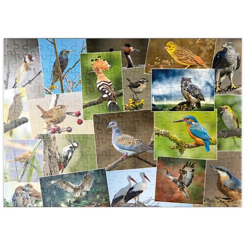 Vögel des Jahres - Collage Nr.1 - Deutschland - Premium 200 Teile Puzzle - MyPuzzle Sonderkollektion von Starnberger Spiele von MyPuzzle.com
