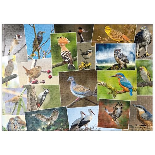 MyPuzzle Vögel des Jahres - Collage Nr.1 - Deutschland - Premium 500 Teile Puzzle - MyPuzzle Sonderkollektion von Starnberger Spiele MyPuzzle Vögel des Jahres - Collage Nr.1 - Deutschland - Premium 500 Teile Puzzle - MyPuzzle Sonderkollektion von Starnberger Spiele von MyPuzzle.com