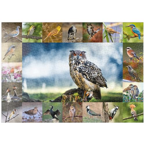 MyPuzzle Vögel des Jahres - Collage Nr.3 - Hauptmotiv: Uhu - Premium 1000 Teile Puzzle - MyPuzzle Sonderkollektion von Starnberger Spiele von MyPuzzle.com