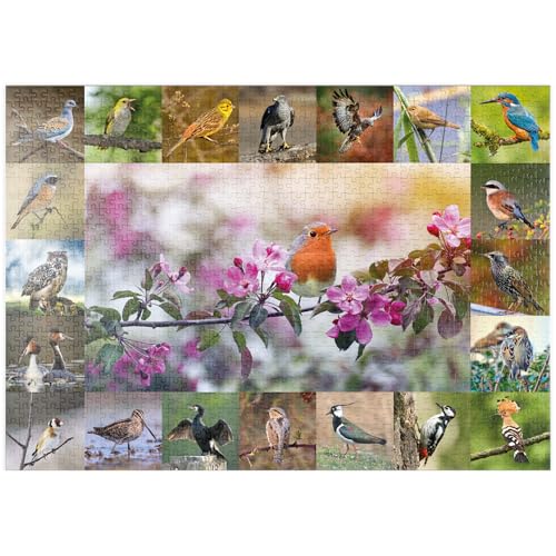 MyPuzzle Vögel des Jahres - Collage Nr.4 - Hauptmotiv: Rotkehlchen - Premium 1000 Teile Puzzle - MyPuzzle Sonderkollektion von Starnberger Spiele von MyPuzzle.com