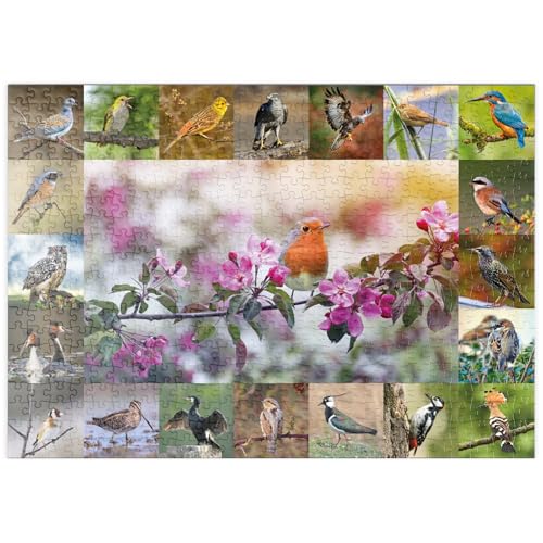 Vögel des Jahres - Collage Nr.4 - Hauptmotiv: Rotkehlchen - Premium 500 Teile Puzzle - MyPuzzle Sonderkollektion von Starnberger Spiele von MyPuzzle.com